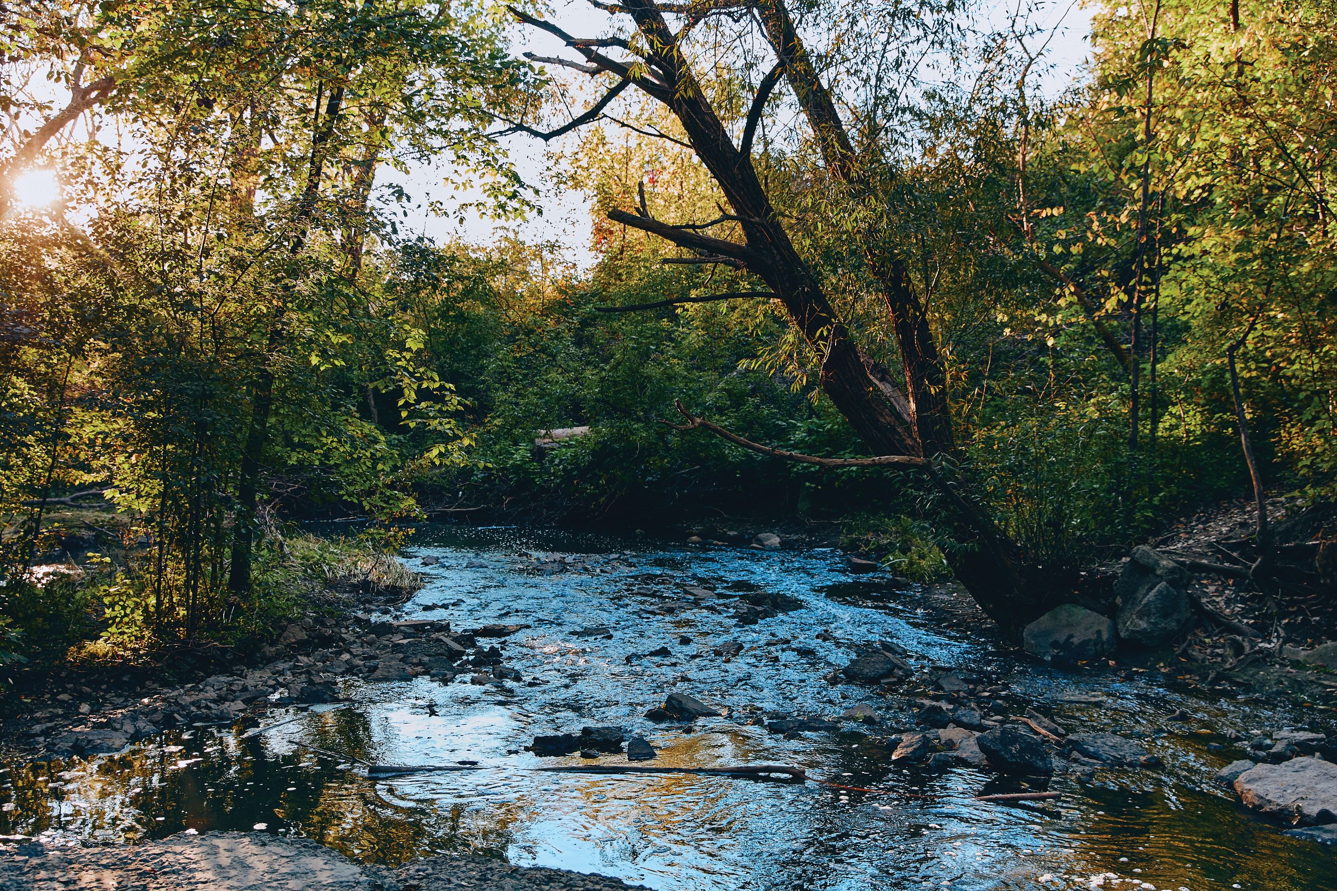 16 - Ruisseau de Montigny.jpg (1.82 MB)