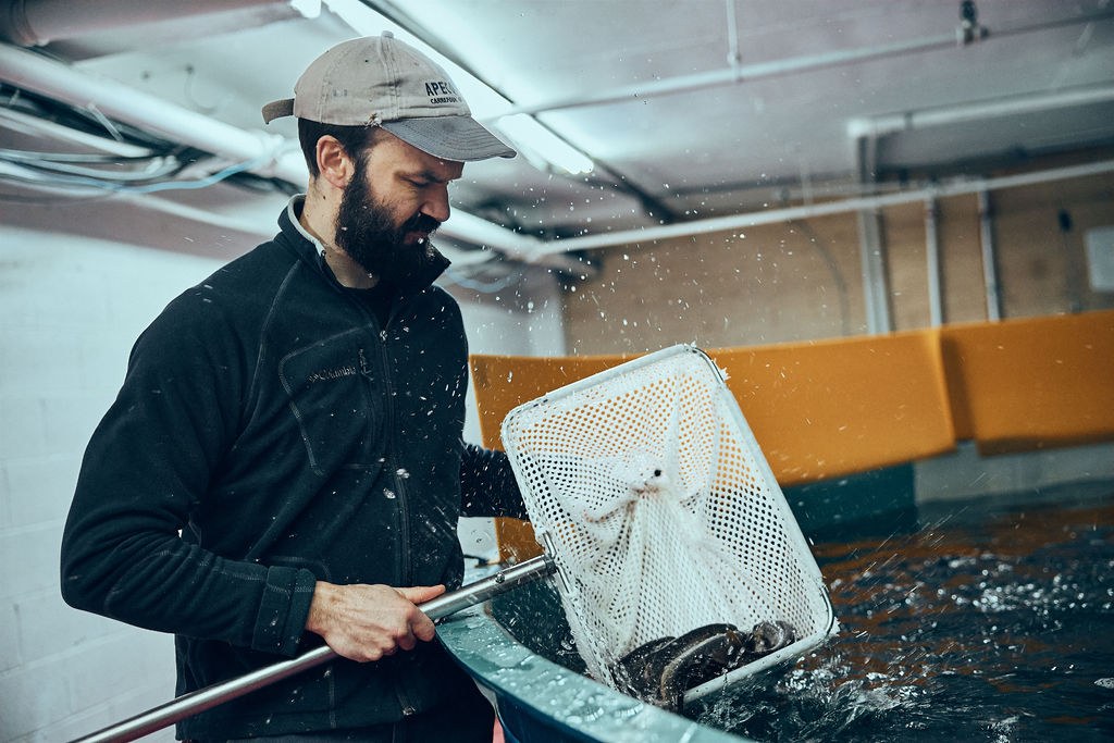 Opercule PME MTL Centre-Ouest